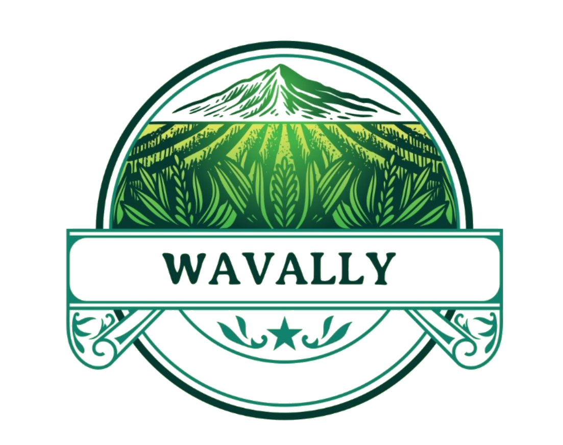 Wavally Logo